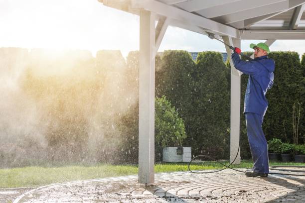 Best Dumpster Area Cleaning  in Kapaa, HI